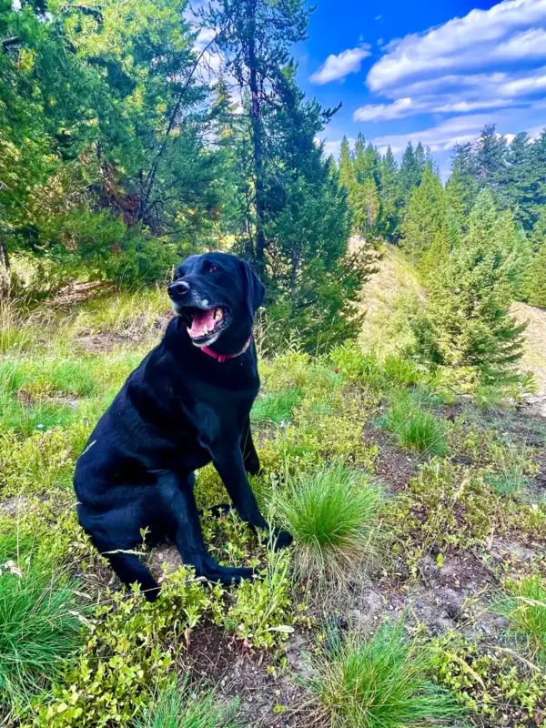 Black “Betty”